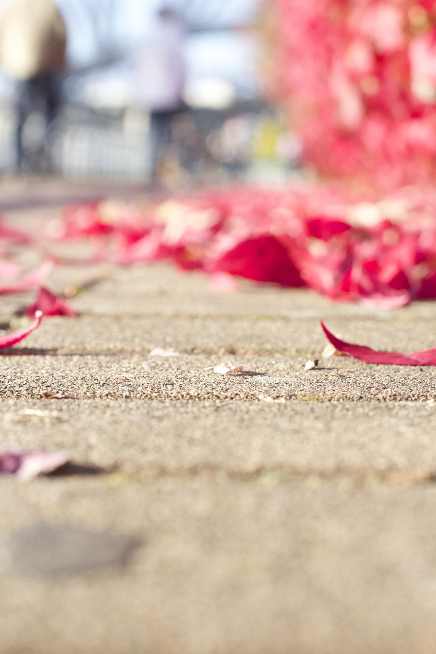 Upload Your Favourite Photos Taken In Canada