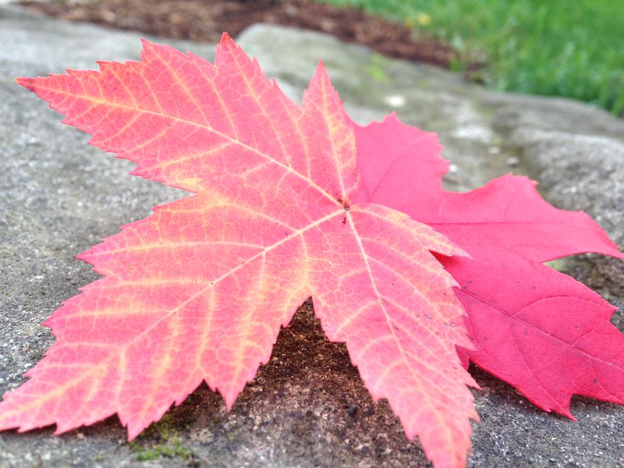 Upload Your Favourite Photos Taken In Canada