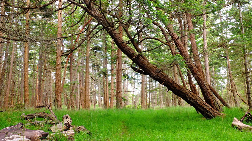 Upload Your Favourite Photos Taken In Canada