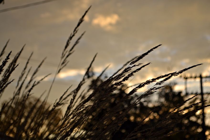 Upload Your Favourite Photos Taken In Canada