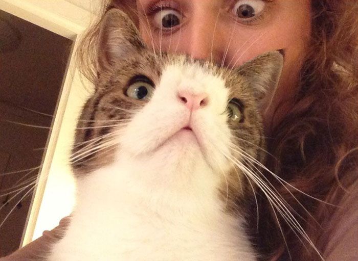 Meet Monty: The Adorable Cat With An Unusual Face