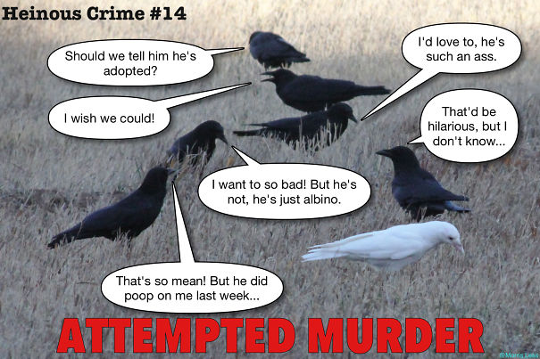 Heinous Crimes, A Punishment Heinous Crimes, A Punishment