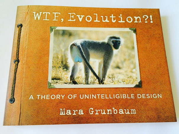 WTF, Evolution?! 10 Animals That Prove Nature Is Out Of Its Mind WTF, Evolution?! 10 Animals That Prove Nature Is Out Of Its Mind