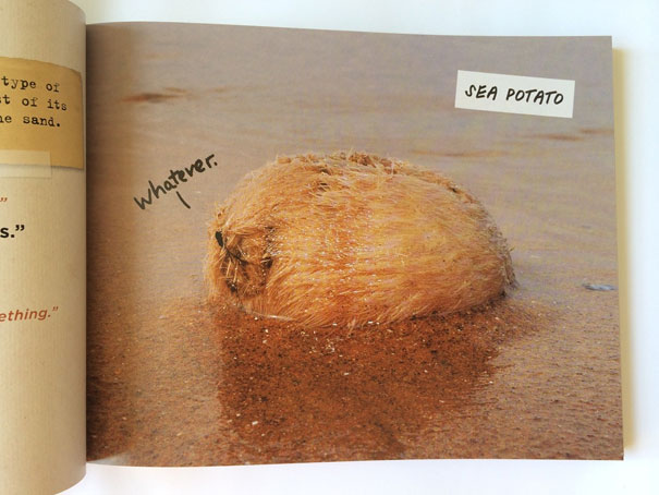 WTF, Evolution?! 10 Animals That Prove Nature Is Out Of Its Mind WTF, Evolution?! 10 Animals That Prove Nature Is Out Of Its Mind