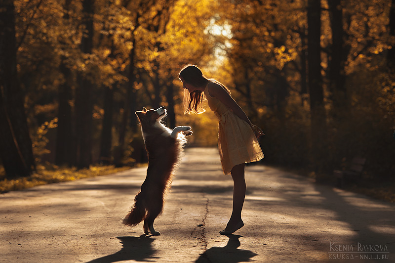 Playful Dog Portraits By Russian Photographer Ksenia Raykova Playful Dog Portraits By Russian Photographer Ksenia Raykova