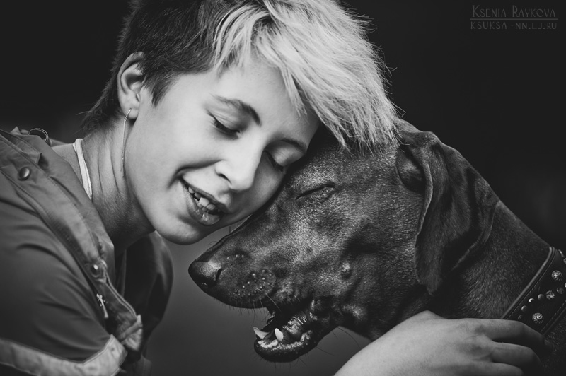 Playful Dog Portraits By Russian Photographer Ksenia Raykova Playful Dog Portraits By Russian Photographer Ksenia Raykova