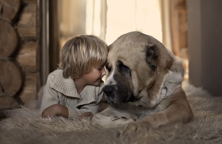 92 Big Dogs Caring For Little Kids