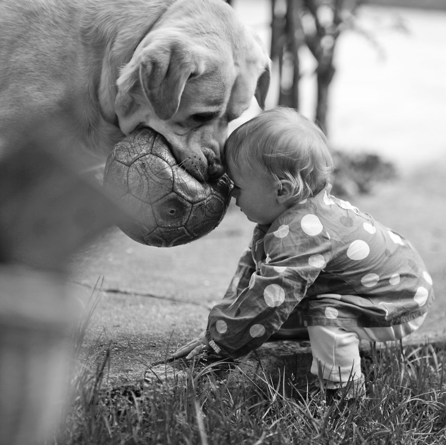 92 Big Dogs Caring For Little Kids
