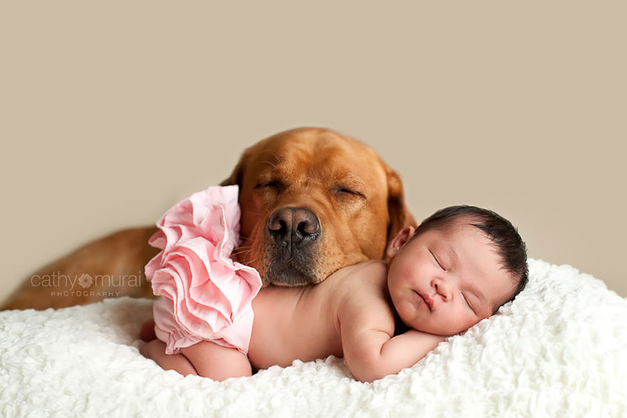 92 Big Dogs Caring For Little Kids