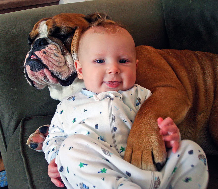 92 Big Dogs Caring For Little Kids