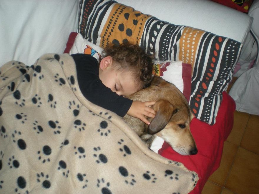 92 Big Dogs Caring For Little Kids