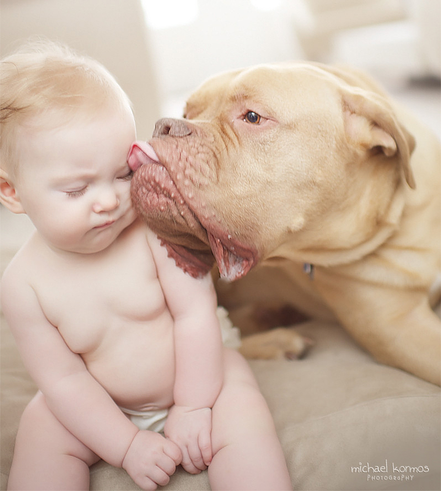 92 Big Dogs Caring For Little Kids