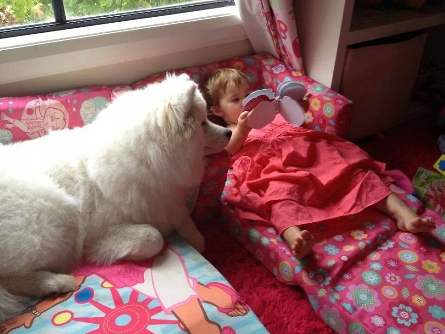 92 Big Dogs Caring For Little Kids