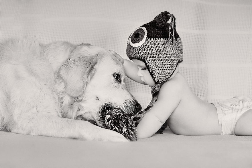 92 Big Dogs Caring For Little Kids