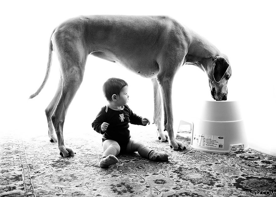 92 Big Dogs Caring For Little Kids