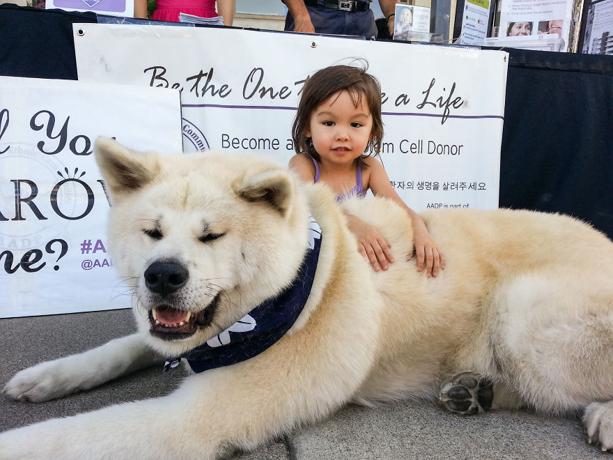 92 Big Dogs Caring For Little Kids