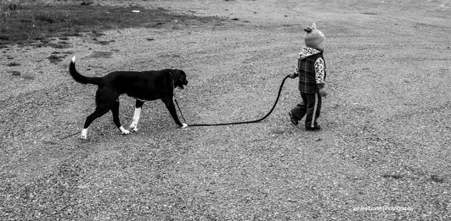 92 Big Dogs Caring For Little Kids