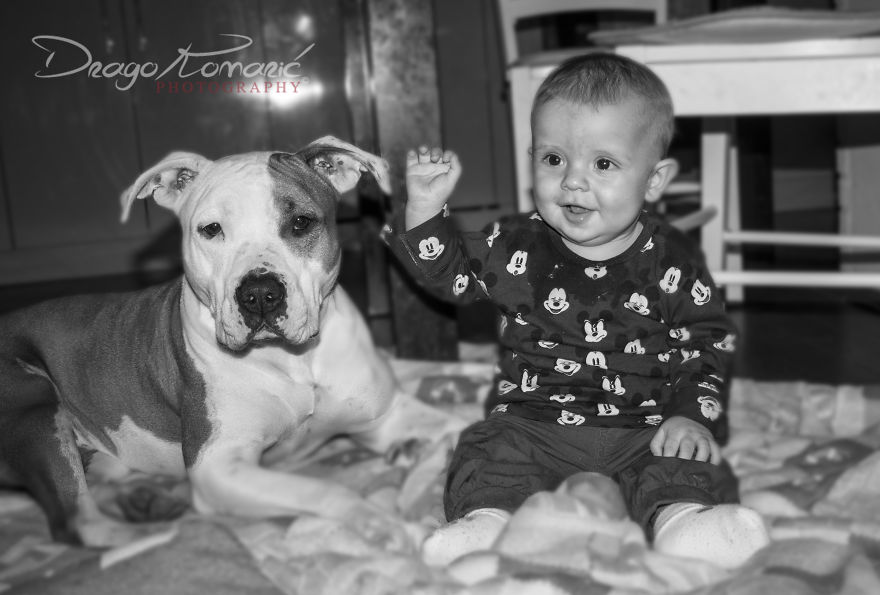 92 Big Dogs Caring For Little Kids