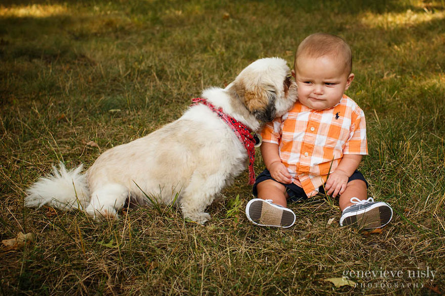 92 Big Dogs Caring For Little Kids