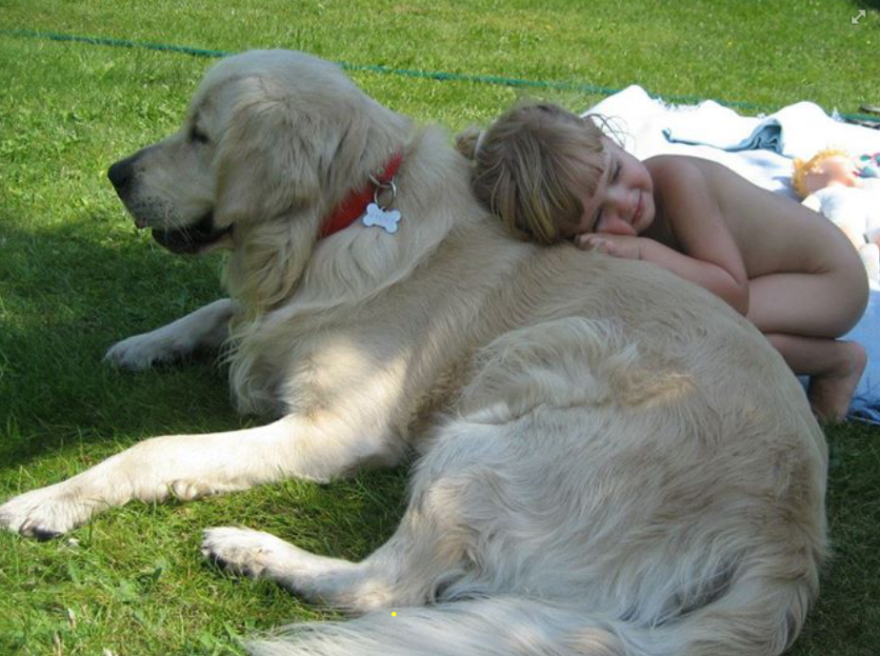 92 Big Dogs Caring For Little Kids