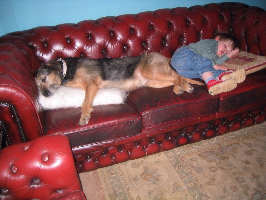 92 Big Dogs Caring For Little Kids