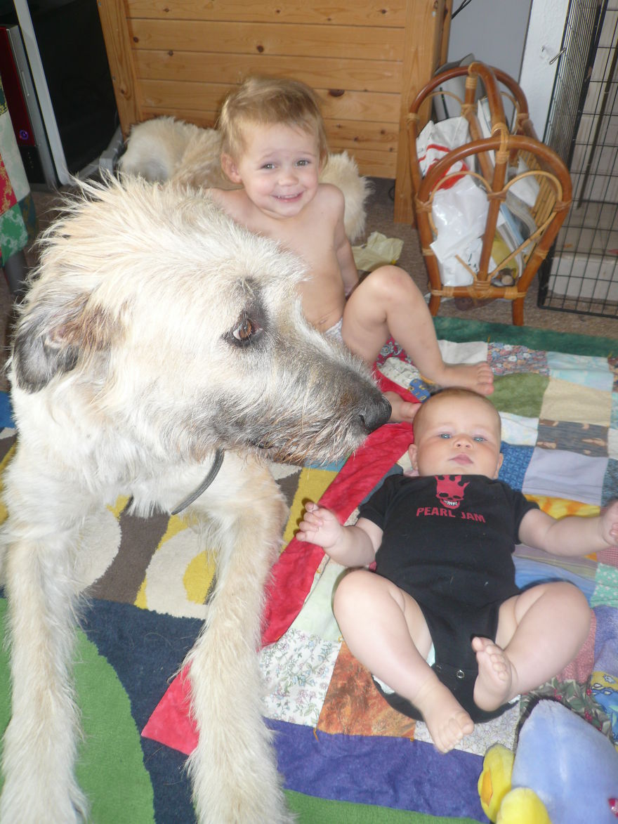 92 Big Dogs Caring For Little Kids