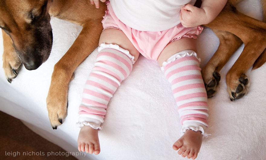 92 Big Dogs Caring For Little Kids