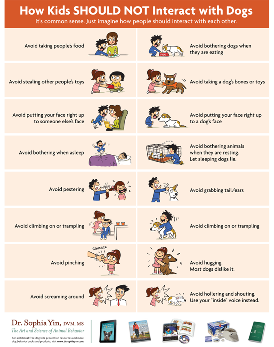 92 Big Dogs Caring For Little Kids