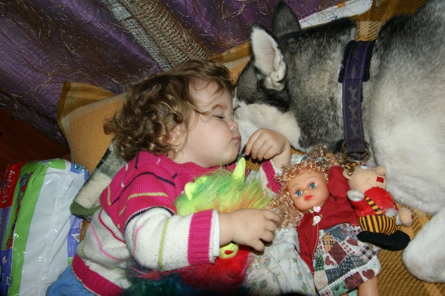 92 Big Dogs Caring For Little Kids