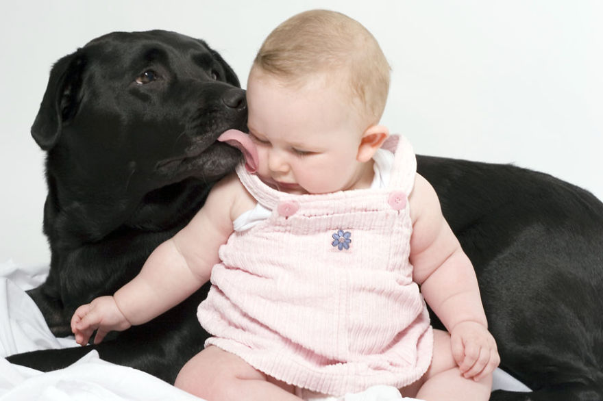 92 Big Dogs Caring For Little Kids