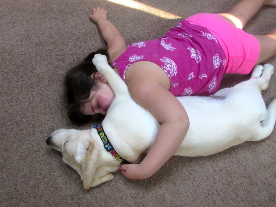 92 Big Dogs Caring For Little Kids