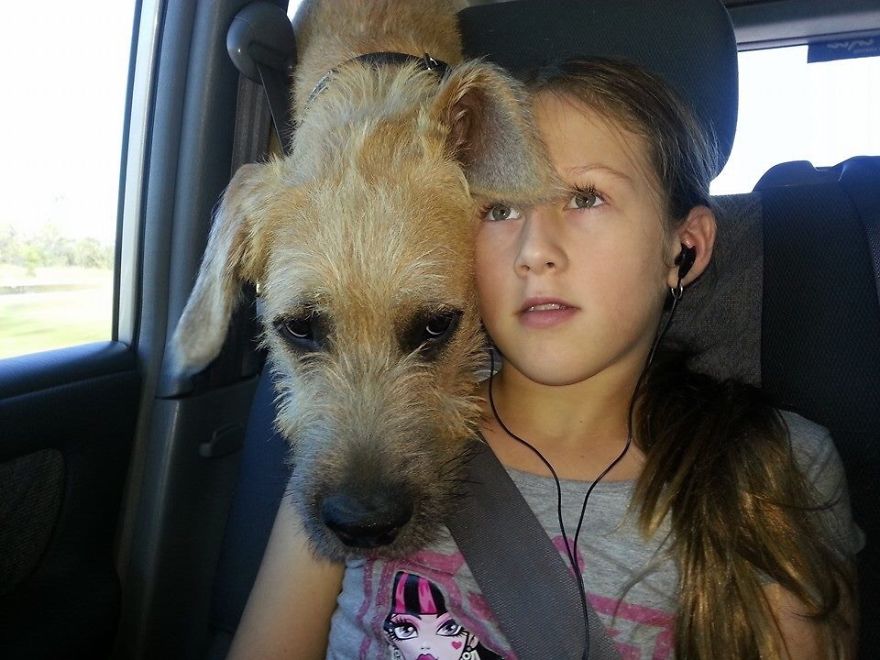 92 Big Dogs Caring For Little Kids