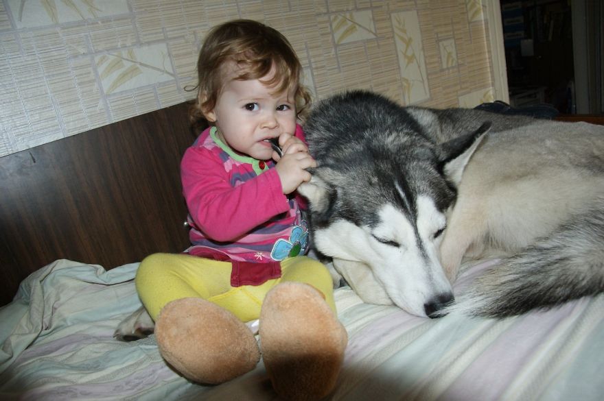 92 Big Dogs Caring For Little Kids