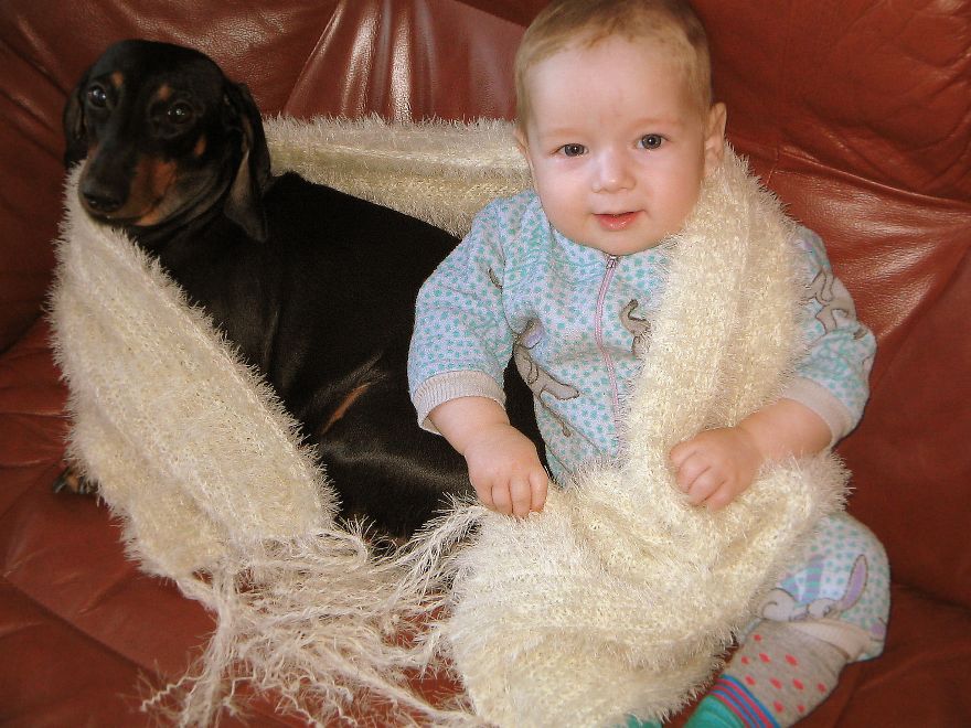 92 Big Dogs Caring For Little Kids