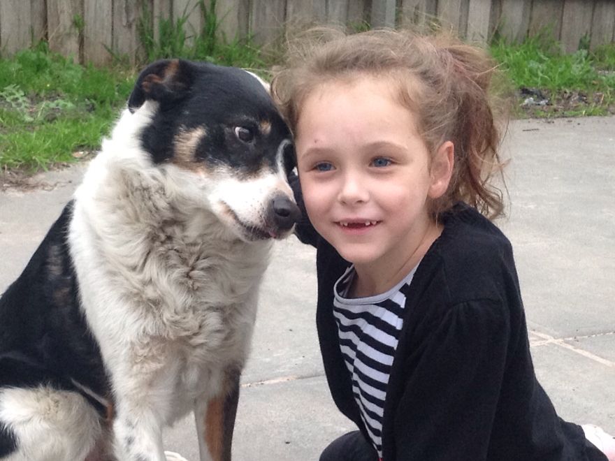 92 Big Dogs Caring For Little Kids