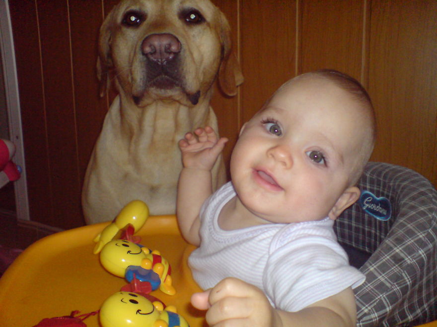 92 Big Dogs Caring For Little Kids