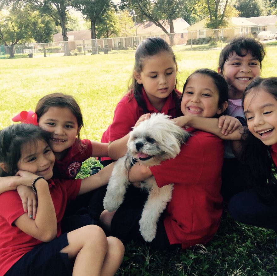 92 Big Dogs Caring For Little Kids