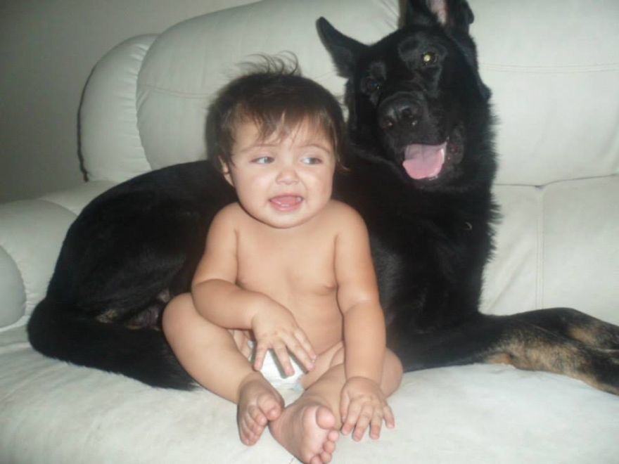 92 Big Dogs Caring For Little Kids