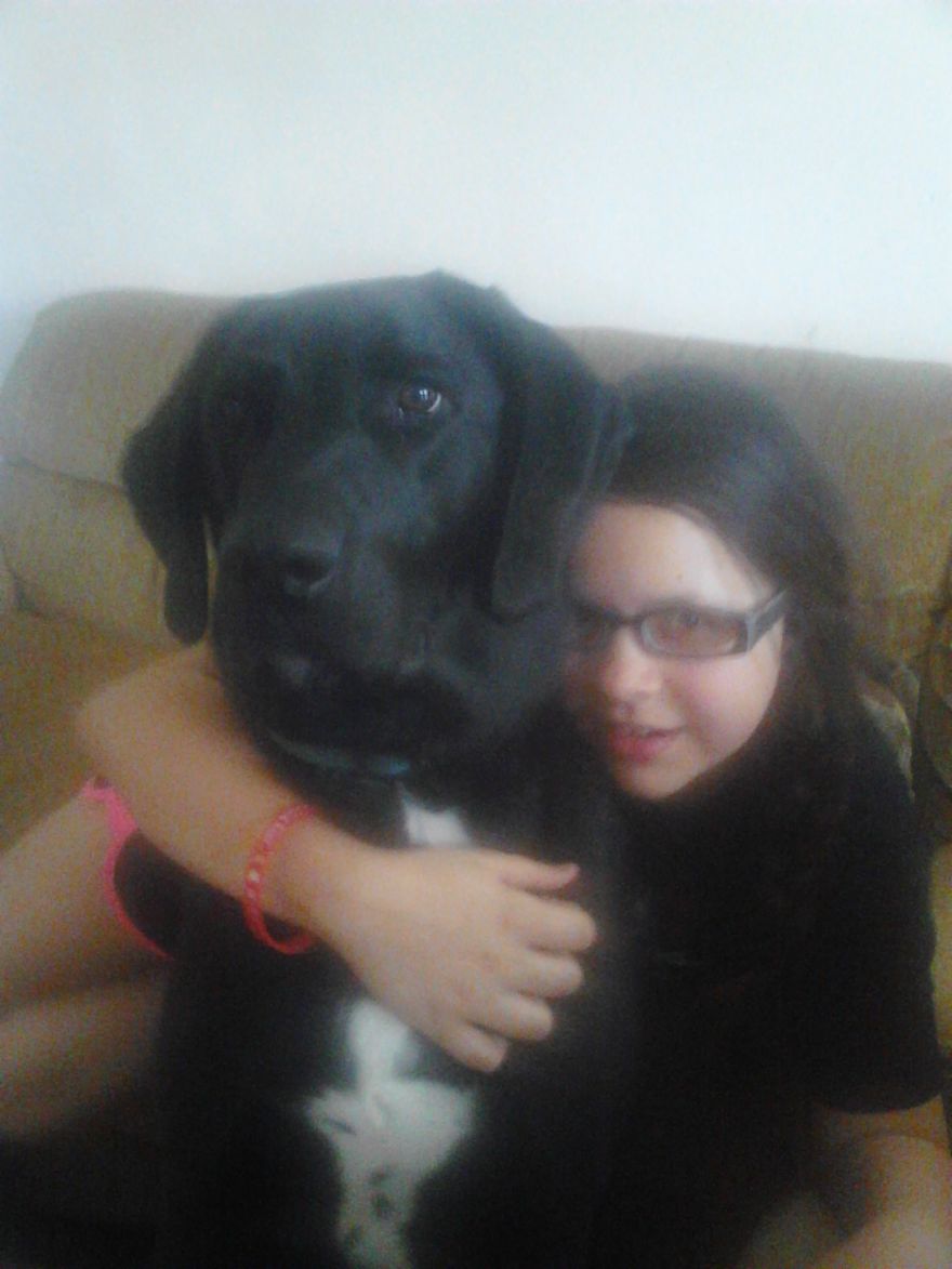 92 Big Dogs Caring For Little Kids