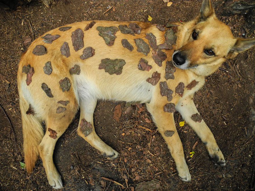 My Dog Lola Is Also My Best Photo Model