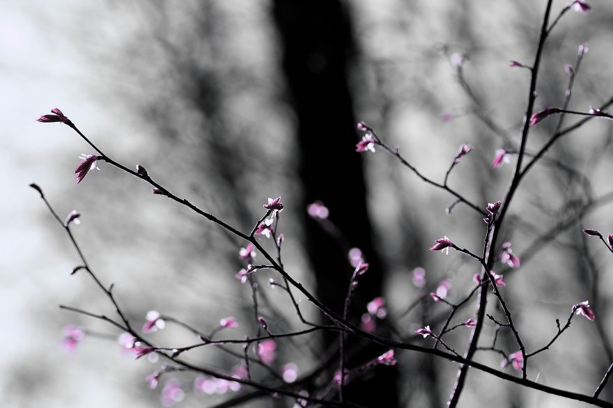 That One Detail That One Detail