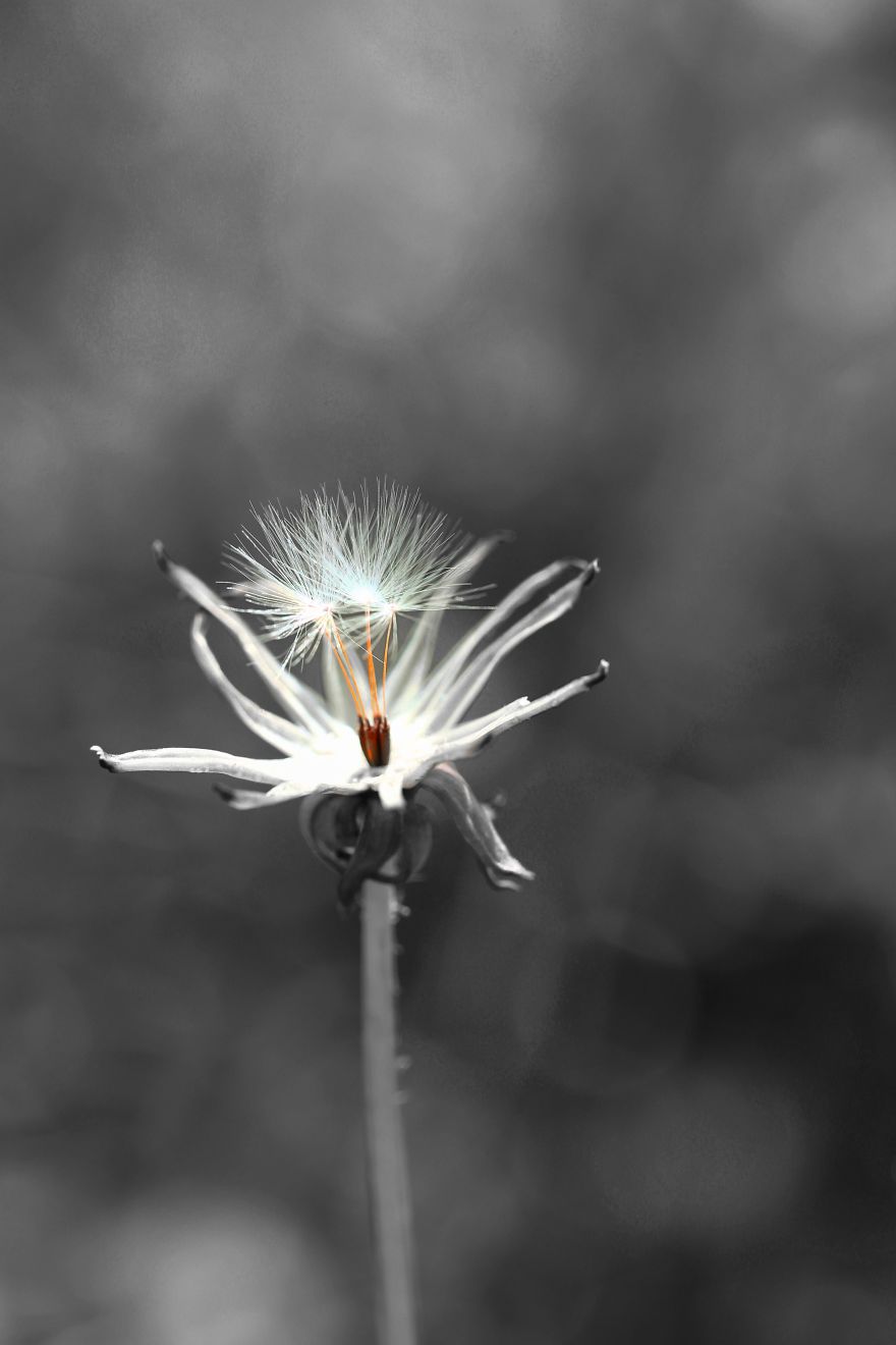 That One Detail That One Detail