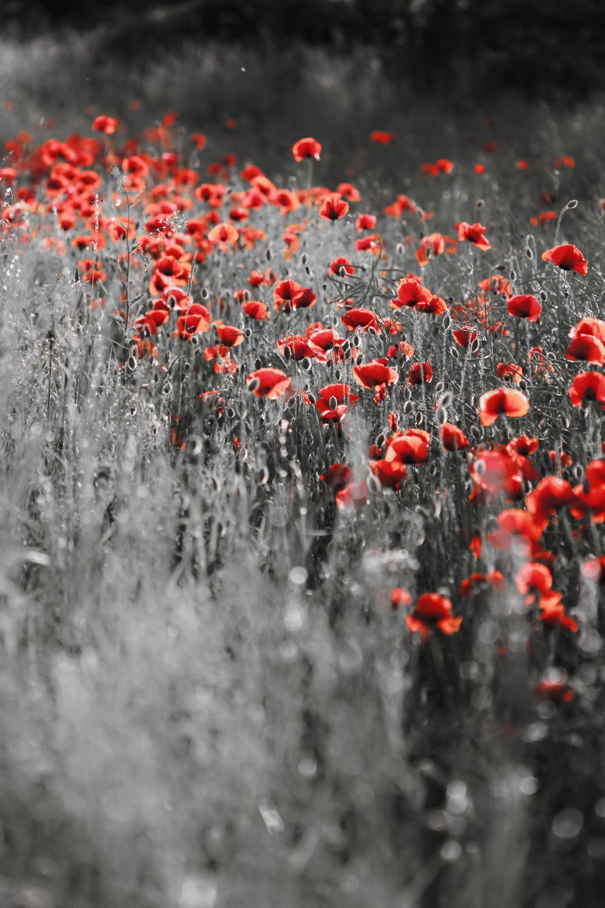 That One Detail That One Detail