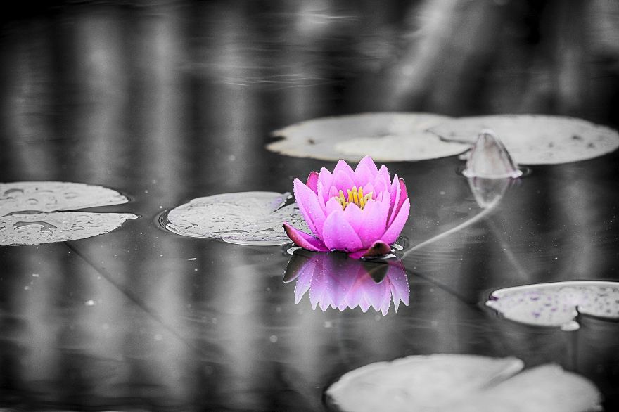 That One Detail That One Detail