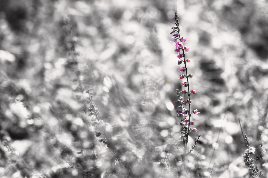 That One Detail That One Detail