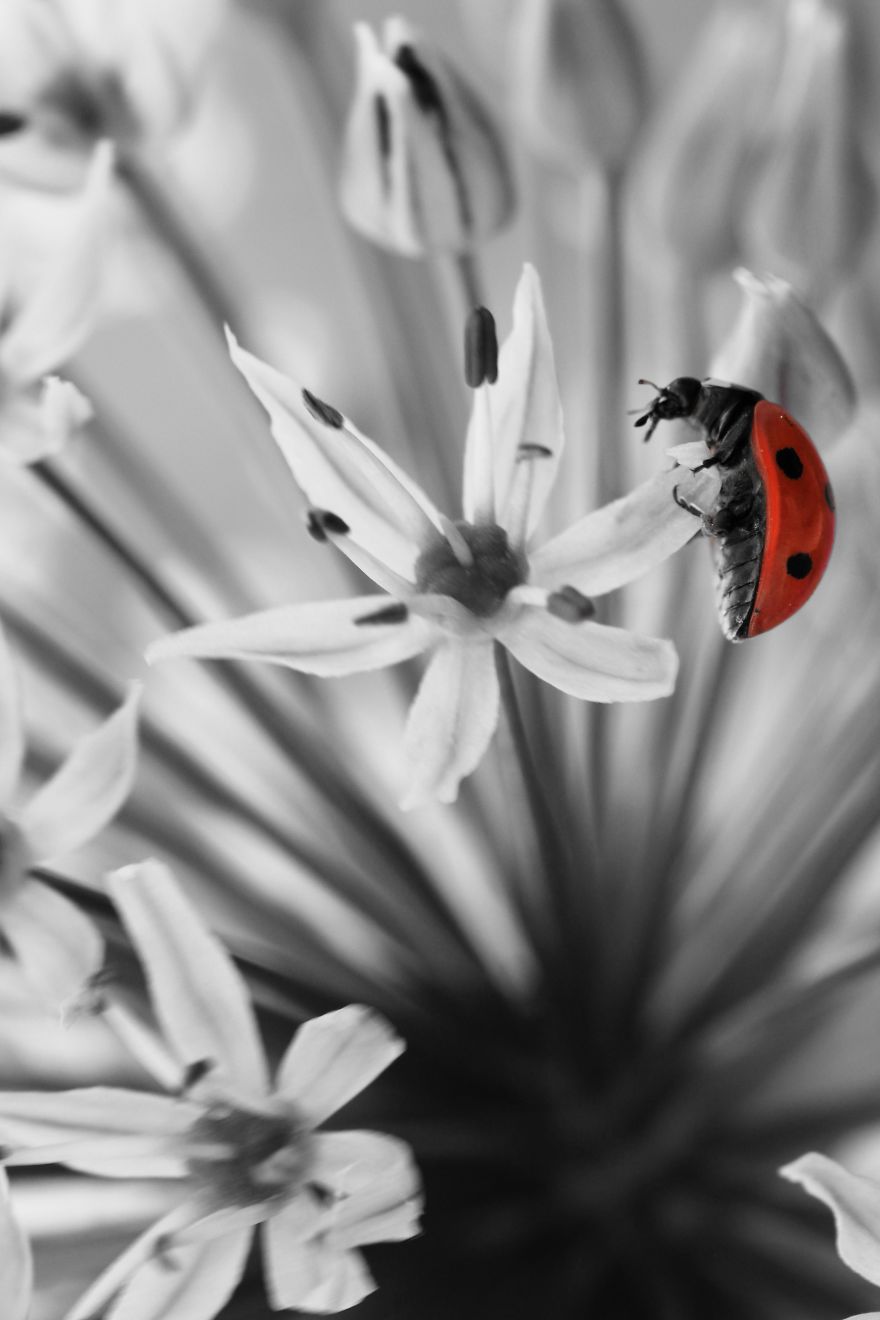 That One Detail That One Detail