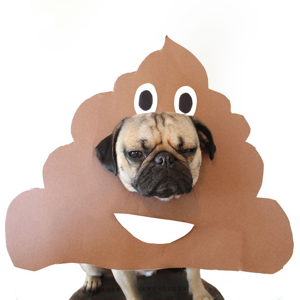 Doug The Pug Does Halloween Better Than You