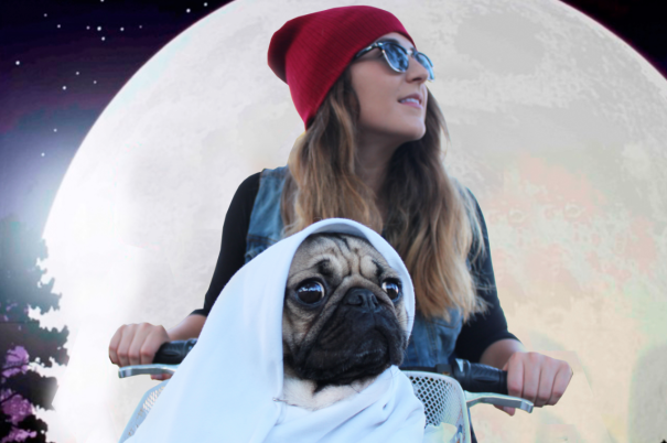 Doug The Pug Does Halloween Better Than You
