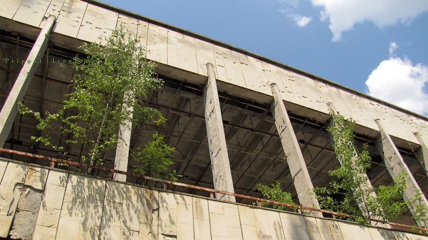 Life In Chernobyl After The Accident: Nature Wins The Battle Against Civilization Life In Chernobyl After The Accident: Nature Wins The Battle Against Civilization