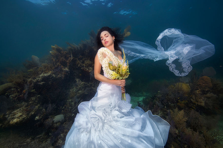 Mermaid Brides: I’m Breaking The Rules Of Traditional Posing And Bringing My Brides Underwater! Mermaid Brides: I’m Breaking The Rules Of Traditional Posing And Bringing My Brides Underwater!